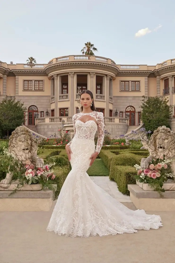 Casablanca - Asteria: Embrace Ethereal Elegance