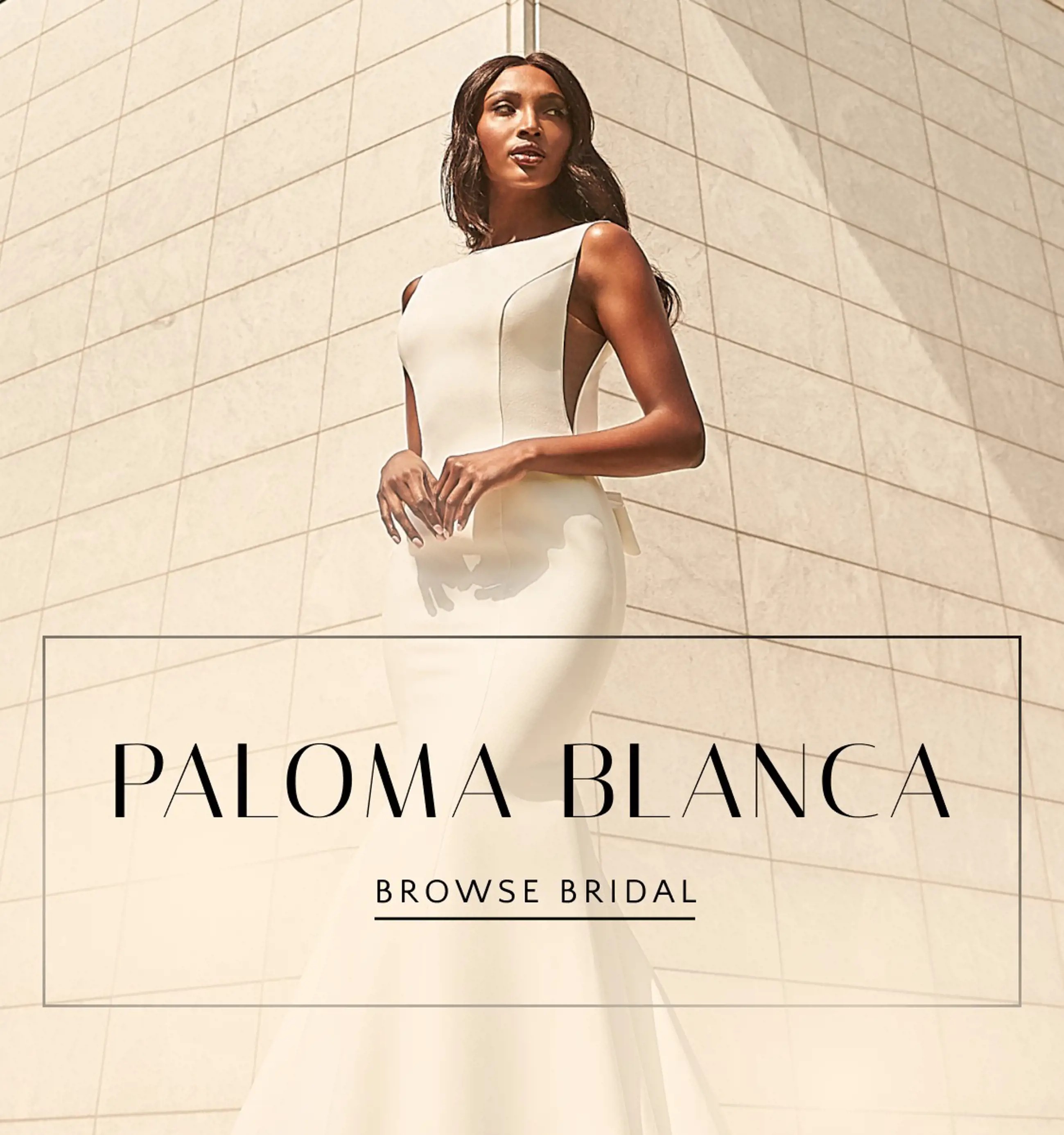 Paloma Blanca Banner Mobile